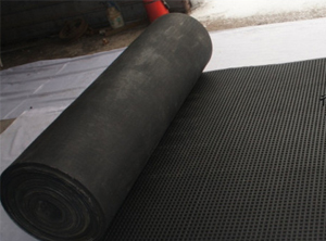 ���Ԥ�������˶����ĨC����